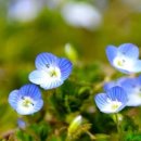 구월4동-7 이미지