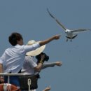 학포웰빙가 이미지