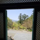 손품발품) 양양/낙산 가볼만한곳 '명주사&amp;명주사동종' 방문 후기