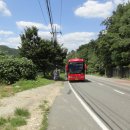 비슬목장 이미지