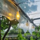 코코테로 | 백운호수 온실 카페, 코코테로 방문 후기