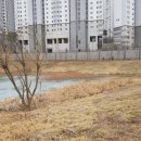 역동저수지 네이버블로그