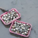 거차뻘배체험마을 이미지