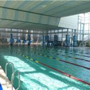 판교로228번길 이미지