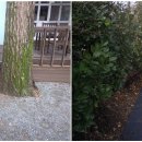 장흥남초등학교 이미지