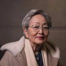 김영옥 카카오 검색결과