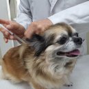 지수동물병원 이미지