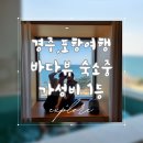 감포 네스트024 | 국내 포항 경주 여행 오션뷰 숙소 호텔 가성비 1등 온수 수영장 힐링 제대로