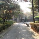 느티마을길 이미지