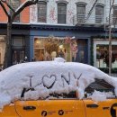 뉴욕뉴욕 이미지