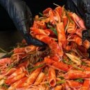 오리사냥 1 이미지