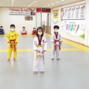 경희대 태권나라 태권도장 이미지