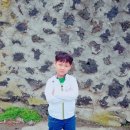 혜원목장 이미지