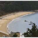 덕원관광농원 이미지