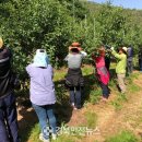 지품면사무소 이미지