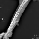 송정동물메디컬센터 이미지