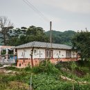 볼음도저어새생태마을 이미지