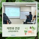 자연과 건강(산야초 이야기) 이미지