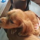 용문산첫번째식당 이미지