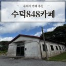 덕산 산딸나무길 | 자연 속 힐링이 필요하다면! 예산 덕산 카페 '수덕848카페' 방문 찐 후기
