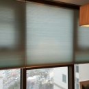 드비취일 이미지