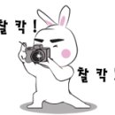 아조폴랑