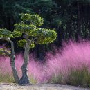 가산수피아 이미지