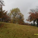 가을도 아름다워라 가을속으로 경주 불국사에서 이미지