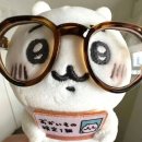 디지털정비 | [반크 X 외교부] 디지털 메타버스 외교관 12기 00. 합격 후기, 사전 미션 수행