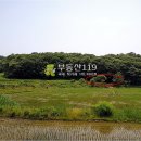 정자리농장 이미지