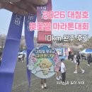 2023 대청호 벚꽃길 마라톤 대회 | 대청호 벚꽃길 마라톤대회 10km 후기, 벚꽃비 맞으며 달린 봄날의 기록