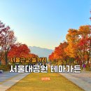선바위자연캠핑장 | 서울근교 나들이 단풍명소 서울대공원 테마가든 입장료 가을