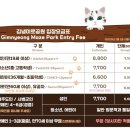 김녕미로공원 제주겨울여행 제주가족여행코스