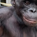 my drink museum 이미지