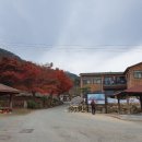 제 662차 전남 장흥 도립공원 천관산(100대명산)산행(26.11.24) 안내 이미지