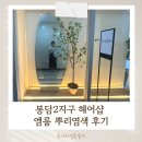 엠헤어샵 | (봉담2지구미용실) 새치커버 뿌리염색 봉담미용실 엠룸 헤어샵 다녀온 후기