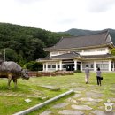 송강유도관 이미지