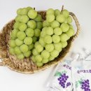 성복농장 이미지