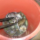 곰섬해수욕장 이미지