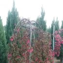 수양2 농장 이미지