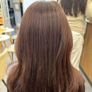 좋은미용실 | 전주 서신동 미용실 모즈토리서신점 가성비 좋은 염색후기