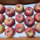 윤이네공방 이미지