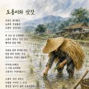 도롱이와 삿갓 이미지