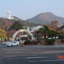 부산어린이대공원 이미지