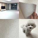 포근하개 | 매트 논슬립 애견매트 포근하개 아이보리! 슬개골탈구 예방,층간소음 충격흡수! 논슬립 항균 배변매트 후기