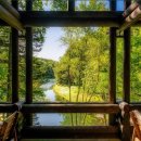 이코중식 이미지