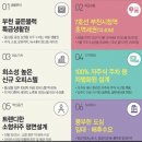 솔라리움 이미지