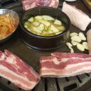 엉터리생고기 이미지