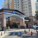 오투아일랜드 이미지