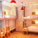 제주게스트하우스봄꽃 이미지